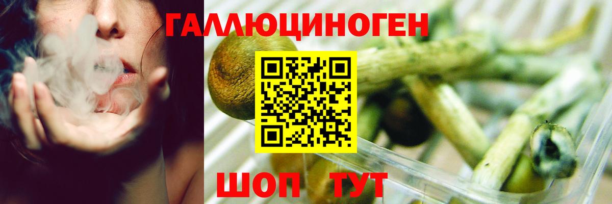 Коряжма  Псилоцибиновые грибы Magic Shrooms  Вход с VPN 